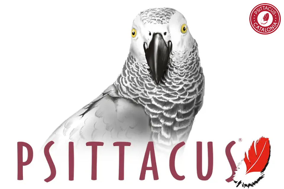 Psittacus