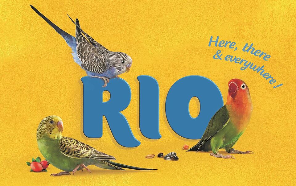 Rio