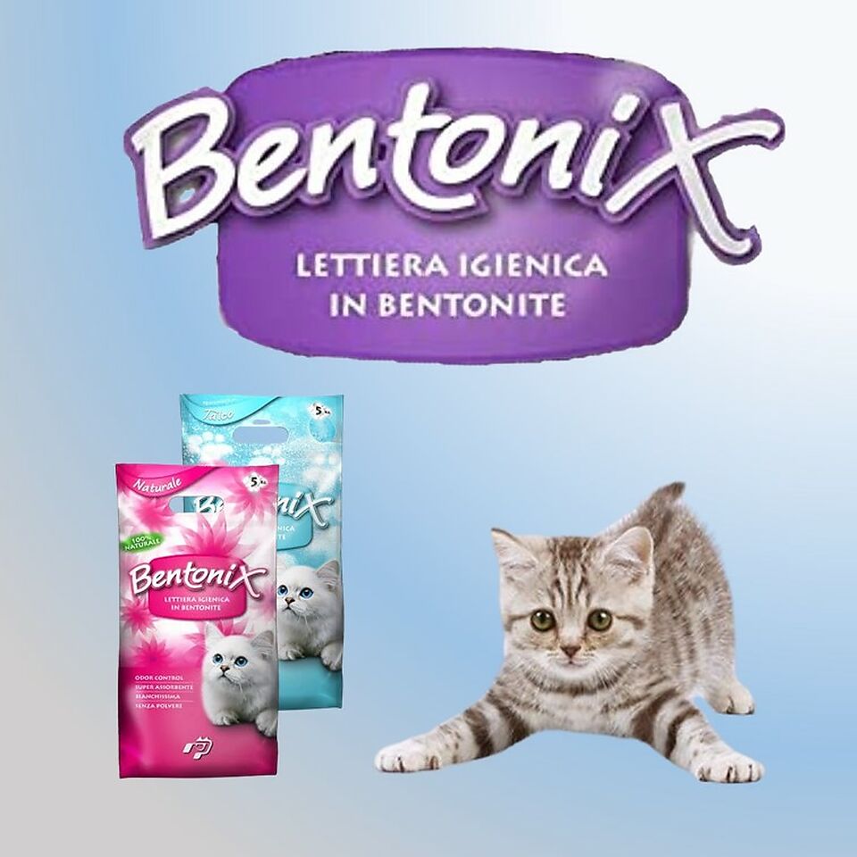 Nueva arena para gatos Bentonix